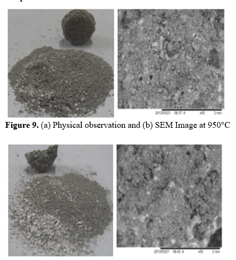 Physical observation and (b) SEM Image at 950°C