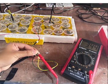 The series MFCs produced an initial current of 0.14 mA on day 0 (the highest recorded current). The output subsequently declined to approximately 0.08 mA on day 1 to day 3.
